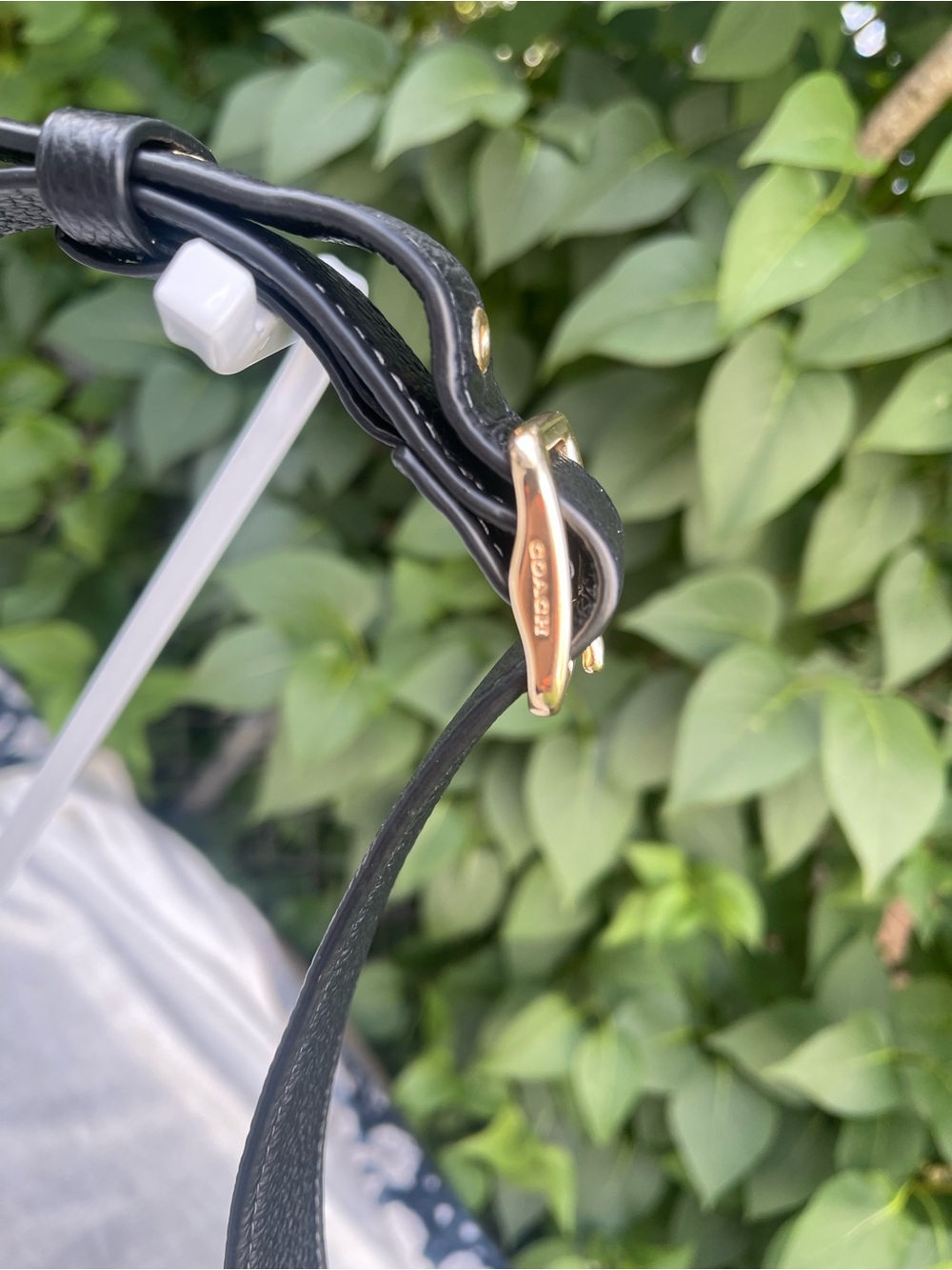 Coach Hadley Mini Crossbody Bag - Picture 4 of 13
